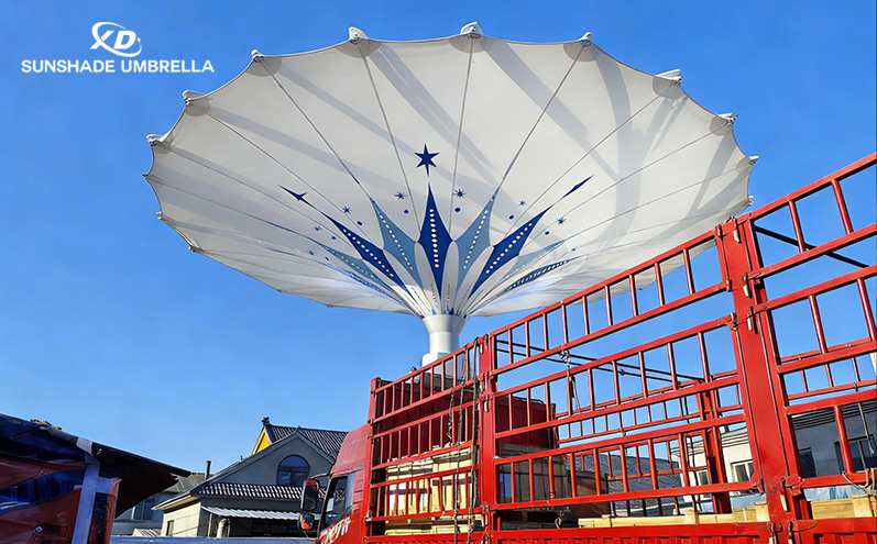 灵动开合，伞耀滨城